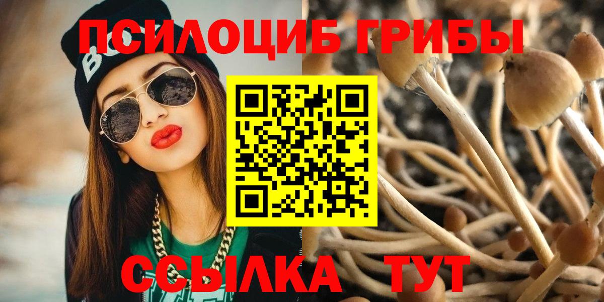 Заводоуковск  Галлюциногенные грибы GOLDEN TEACHER  Вход с VPN 