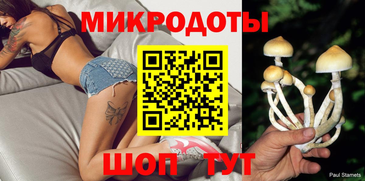 Галлюциногенные грибы мухоморы Заводоуковск